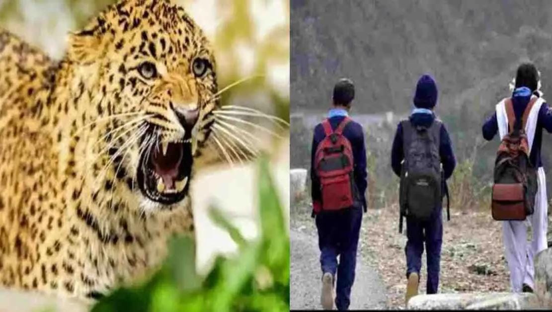 गुलदार के आतंक से भीमताल क्षेत्र के स्कूल एक सप्ताह