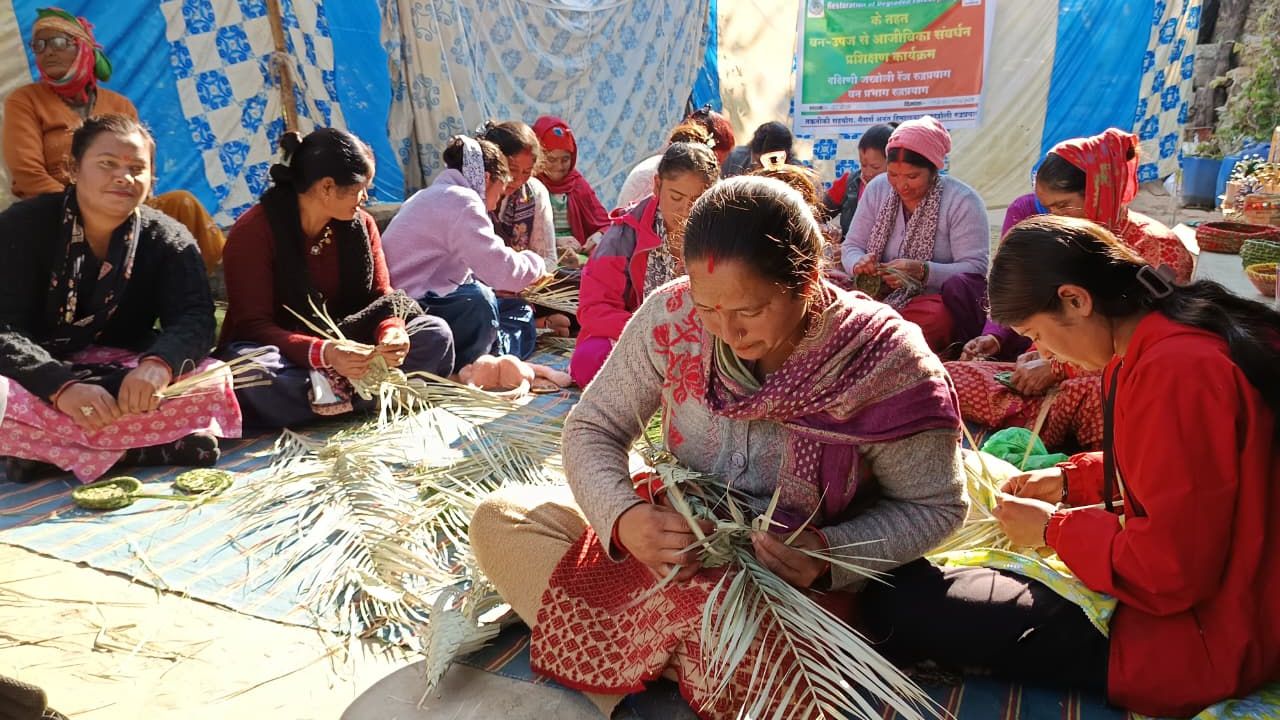 पर्यावरण और आय का संगम: रुद्रप्रयाग में वन उपज आधारित