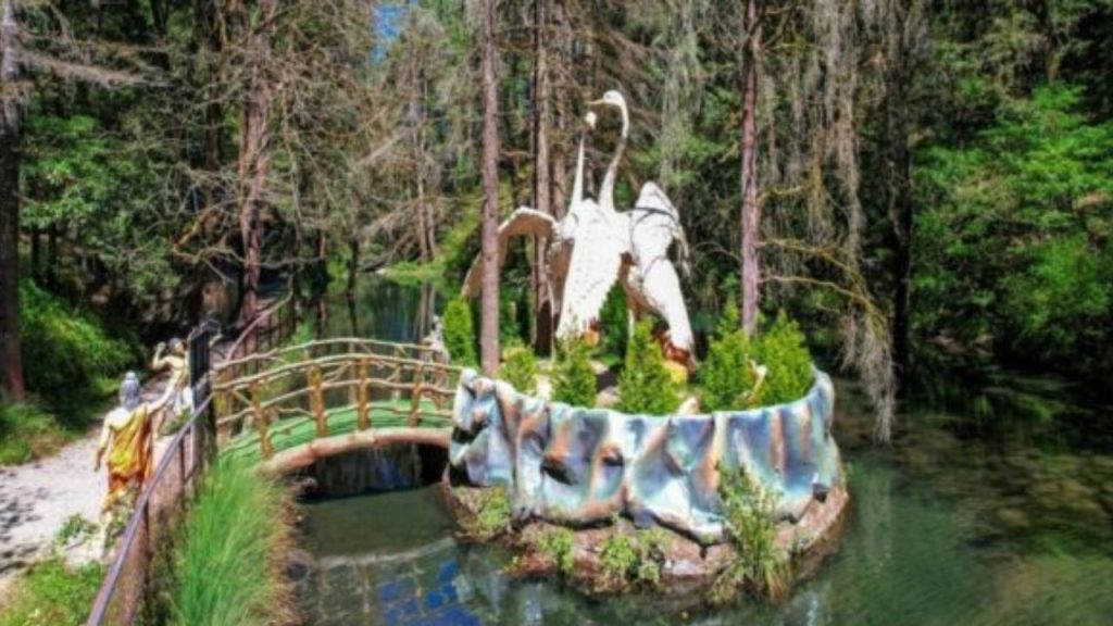 नैनीताल के जंगलों में रंगीन परिंदों की एंट्री, विदेशी पक्षियों की चहल-पहल बढ़ी