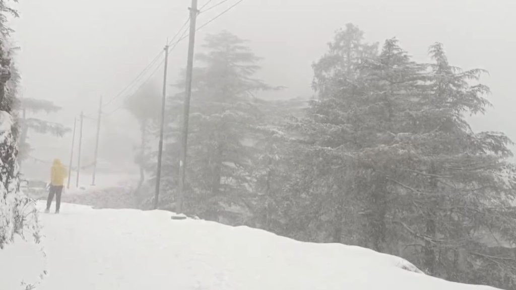 मौसम विभाग का पूर्वानुमान सही: चकराता की पहाड़ियों में बर्फबारी, विकास नगर में झमाझम बारिश से बढ़ी ठंड