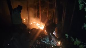 Chamoli News: पटियालधार के जंगल में भड़की आग, पुलिस-फायर की त्वरित कार्रवाई से टला बड़ा हादसा