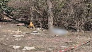 Dehradun Crime News: विकासनगर में खौफनाक वारदात, छात्रा की धारदार हथियार से निर्मम हत्या