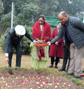 Gov plants tulip bulbs in Lok Bhawan garden