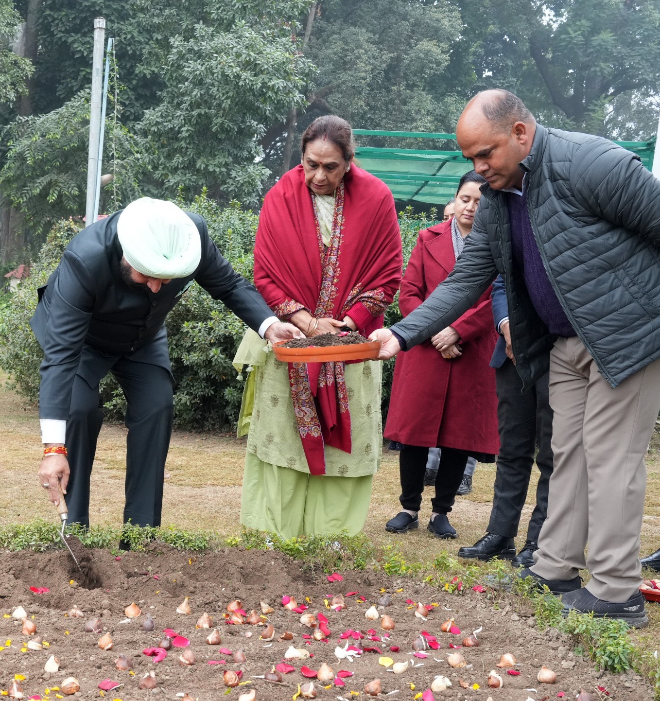 Gov plants tulip bulbs in Lok Bhawan garden