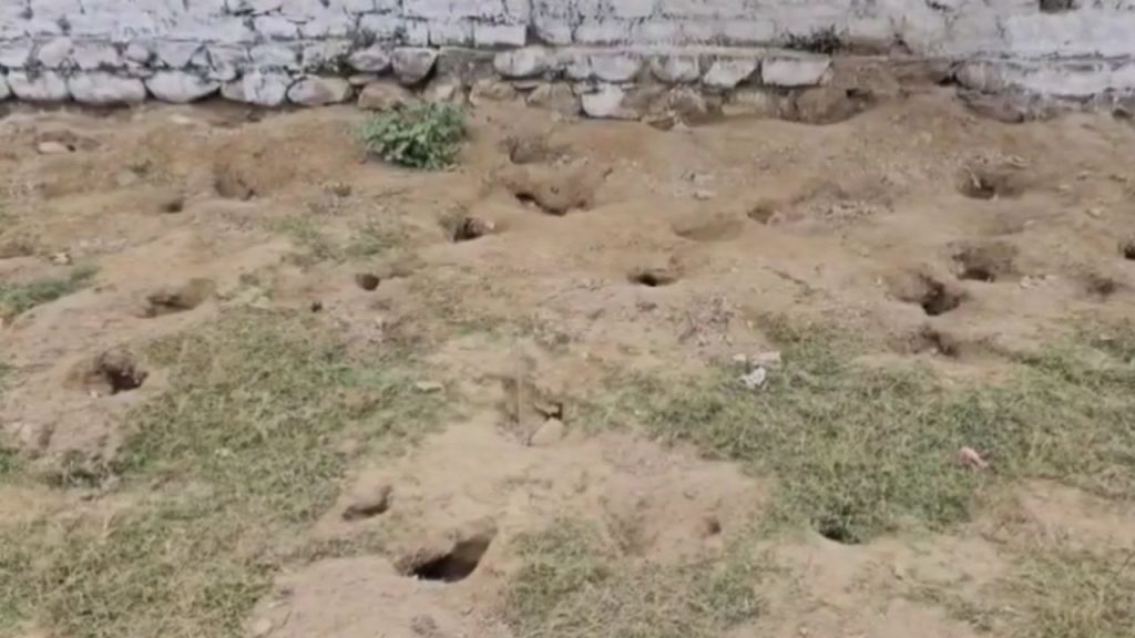 Nainital: रामनगर में खेल का मैदान बना चूहों का डेरा, खिलाड़ियों की सुरक्षा से खिलवाड़