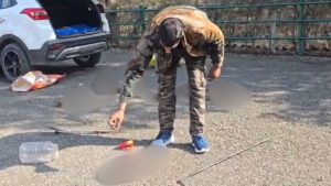 Nainital: रामनगर में अजगर और विषैले कोबरा को ऐसे किया रेस्क्यू