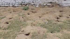 Nainital: रामनगर में खेल का मैदान बना चूहों का डेरा, खिलाड़ियों की सुरक्षा से खिलवाड़