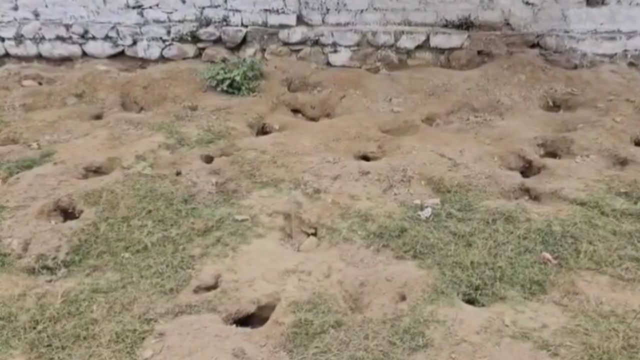 Nainital: रामनगर में खेल का मैदान बना चूहों का डेरा, खिलाड़ियों की सुरक्षा से खिलवाड़