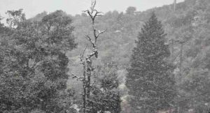 ऑरेंज अलर्ट के बीच देहरादून में स्कूल बंद,आज बिगड़ सकता