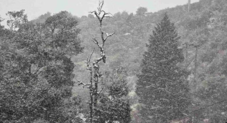 ऑरेंज अलर्ट के बीच देहरादून में स्कूल बंद,आज बिगड़ सकता