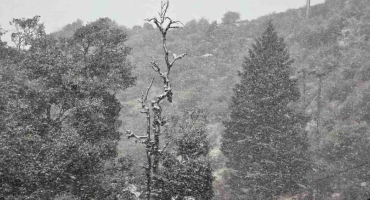 ऑरेंज अलर्ट के बीच देहरादून में स्कूल बंद,आज बिगड़ सकता