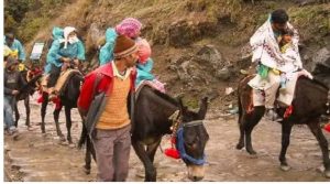 केदारनाथ यात्रा में हरित पहल,घोड़े-खच्चरों की लीद से बनेंगे बायोमास