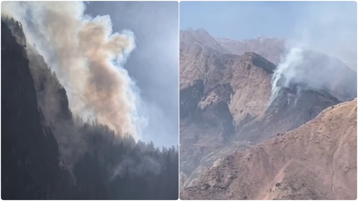 नंदा देवी राष्ट्रीय पार्क में आग का तांडव, लगातार पांचवें