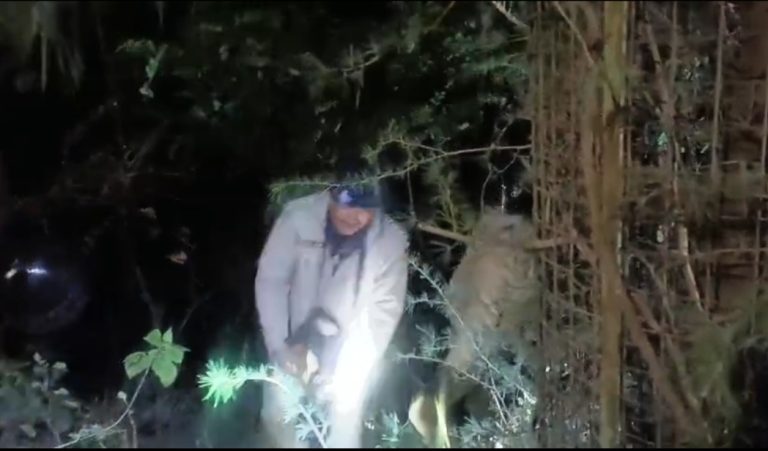 नैनीताल हाईवे पर रफ्तार का कहर, स्विफ्ट कार गहरी खाई