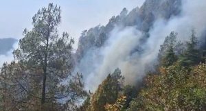 फूलों की घाटी में वनाग्नि से बढ़ी चिंता, अब हेलिकॉप्टर