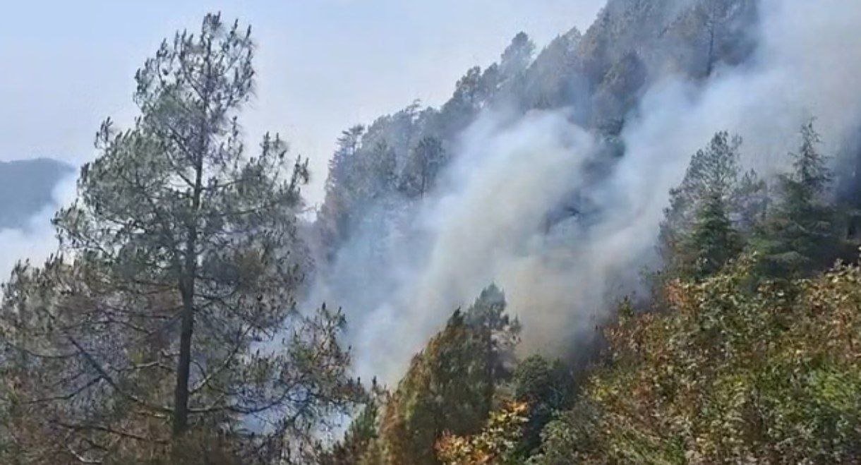 फूलों की घाटी में वनाग्नि से बढ़ी चिंता, अब हेलिकॉप्टर