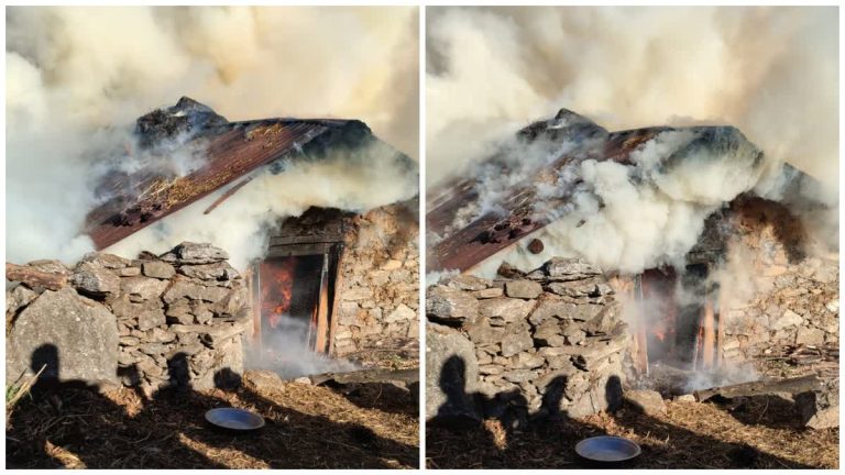 भटवाड़ी ब्लॉक के सिल्ला गांव में गौशाला में भीषण आग,