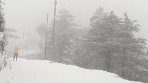 मौसम विभाग का पूर्वानुमान सही: चकराता की पहाड़ियों में बर्फबारी, विकास नगर में झमाझम बारिश से बढ़ी ठंड