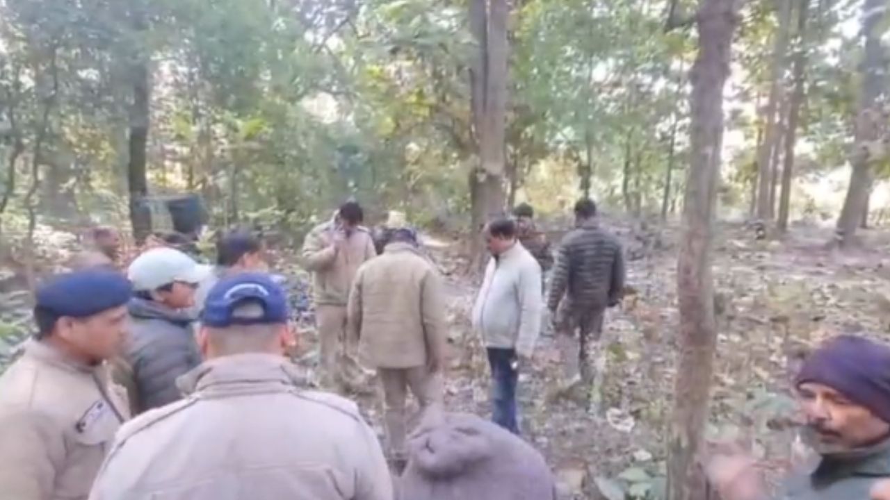 रामनगर में बाघ का कहर: सड़क से उठाकर जंगल में घसीटा, मिला शव