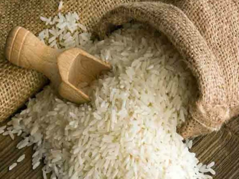 रुद्रपुर की स्वास्तिक राइस मिल में चावल गबन का मामला: