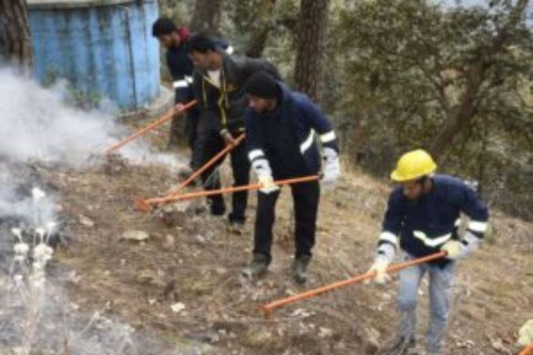 Forest Fire Alert: नैनीताल और हल्द्वानी में आपात प्रतिक्रिया की मॉक टेस्टिंग, यहां जाने पूरी खबर…