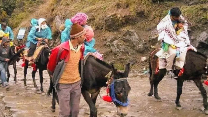 केदारनाथ धाम यात्रा से पहले घोड़ा-खच्चरों के पंजीकरण शुरू ,