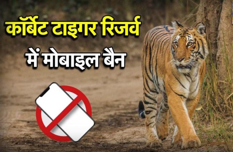 कॉर्बेट टाइगर रिजर्व में सख्ती, सफारी के दौरान मोबाइल फोन