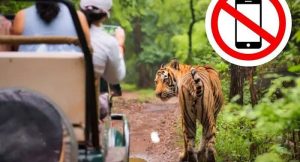 जंगल सफारी के दौरान मोबाइल फोन पूरी तरह बैन,उल्लंघन पर