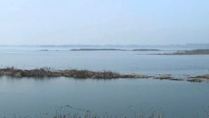 तुमड़िया डैम खतरे के निशान पर, भविष्य सुरक्षित करने को