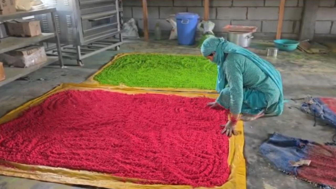 रामनगर में इन महिलाओं ने बनाया ये अनोखा गुलाल, इस बार मनेगी ऐसी होली