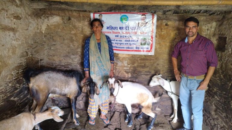 Pauri Garhwal: पशुपालन बना रोजगार का जरिया, इस व्यवसाय में युवा दिखा रखे रुचि