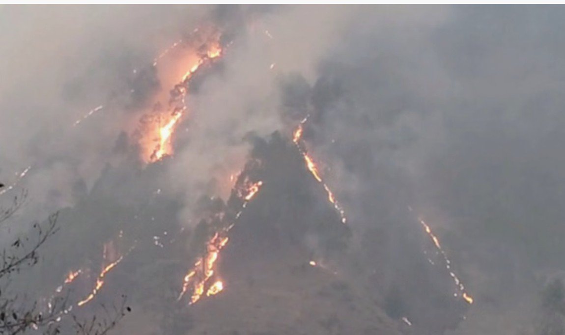 चमोली के जंगलों में भीषण आग, वन क्षेत्र जला; गांवों