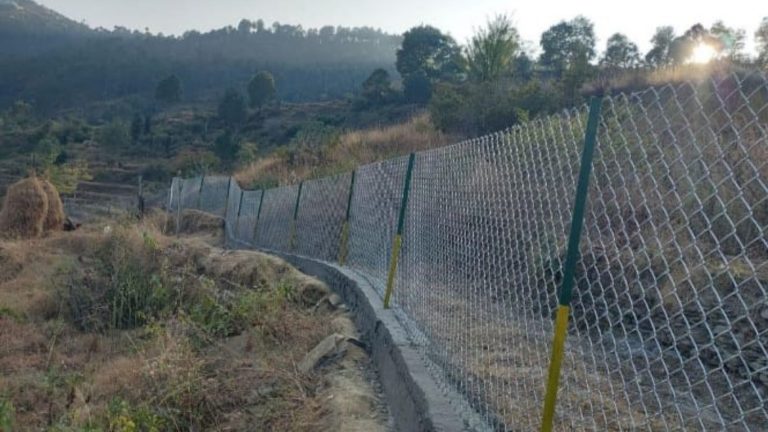 जंगली जानवरों के आतंक से मुक्त हुई पौड़ी की फसलें; जानिए क्या है कृषि विभाग की नई घेरबाड़ योजना?