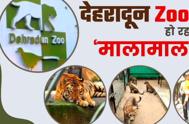 पक्षियों की चहचहाहट और टाइगर की दहाड़ के बीच मालामाल