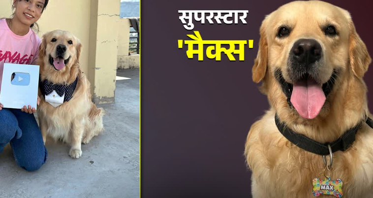लखपति है श्रीनगर का ये गोल्डन रिट्रीवर डॉग, सोशल मीडिया