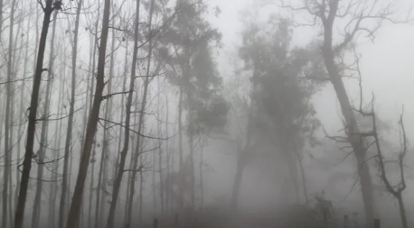 सुबह का मौसम देख चौंक गए देहरादून के लोग, मार्च