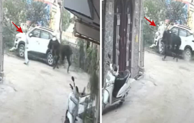 हरिद्वार की सड़कों पर टहलती मौत, सांड के हमले में