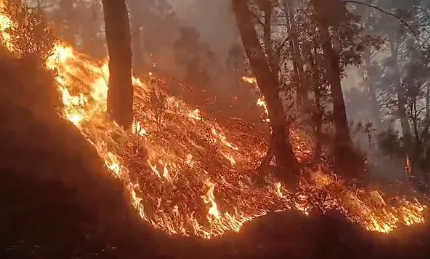 उत्तराखंड में गर्मी के साथ बढ़ रही जंगलों की आग,