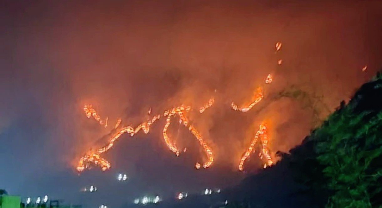 पिथौरागढ़ के जंगल 24 घंटे से धधके, कई हेक्टेयर वन