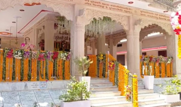 राजाजी टाइगर रिजर्व में मंत्री पुत्र की शादी को लेकर