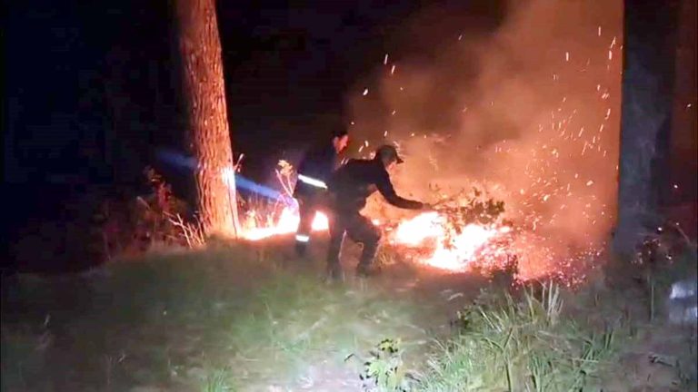 145 forest fire incidents reported in Garhwal Division till April