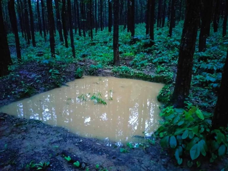 Construction of water holes ordered in forests to help control