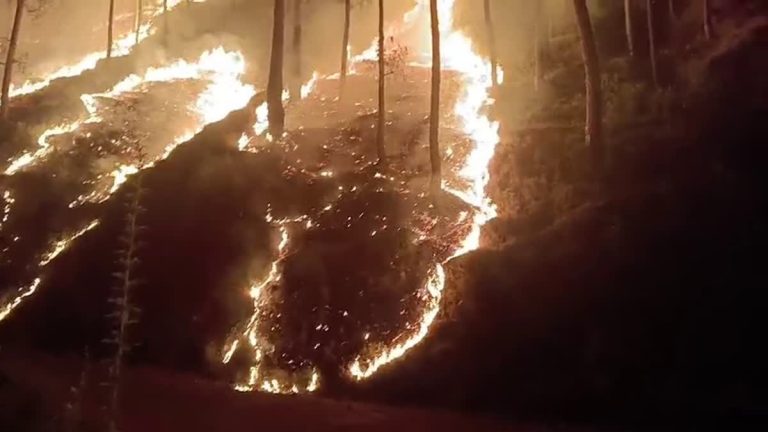 Forest fires rage in Pauri and Chamoli, 5,500 saplings destroyed