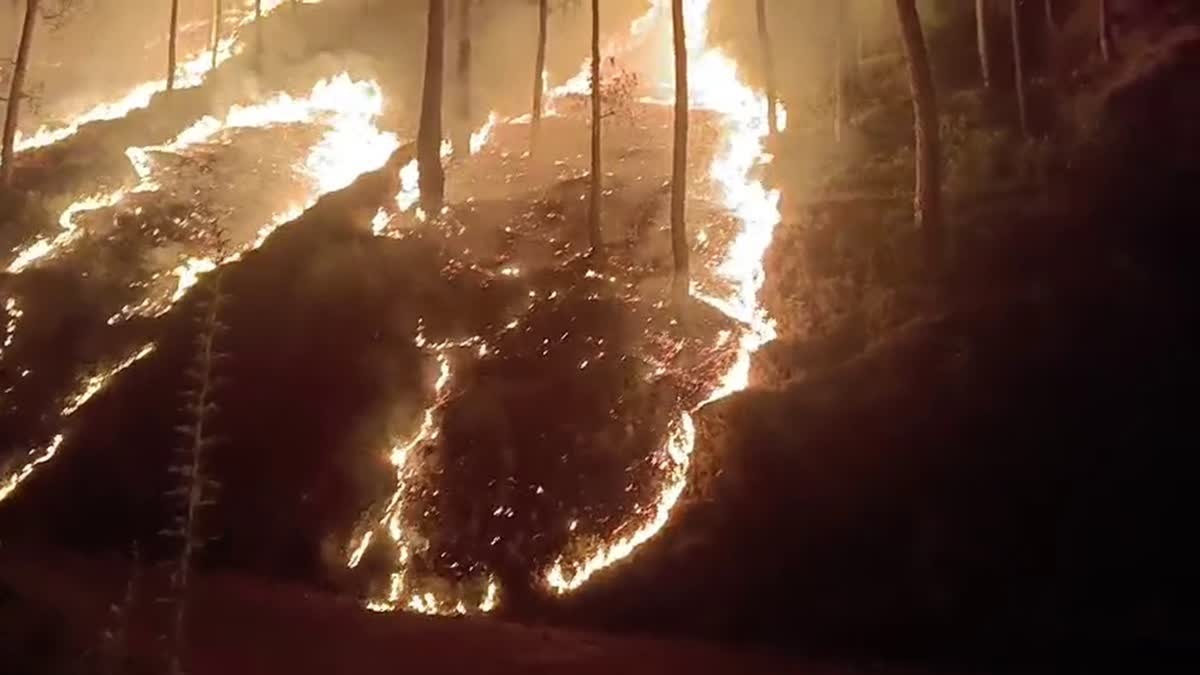 Forest fires rage in Pauri and Chamoli, 5,500 saplings destroyed