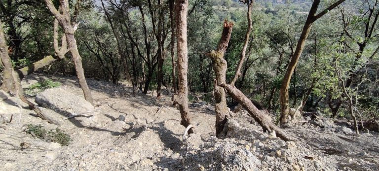 Road construction along Mussoorie’s Rispana riverbank heightens risk
