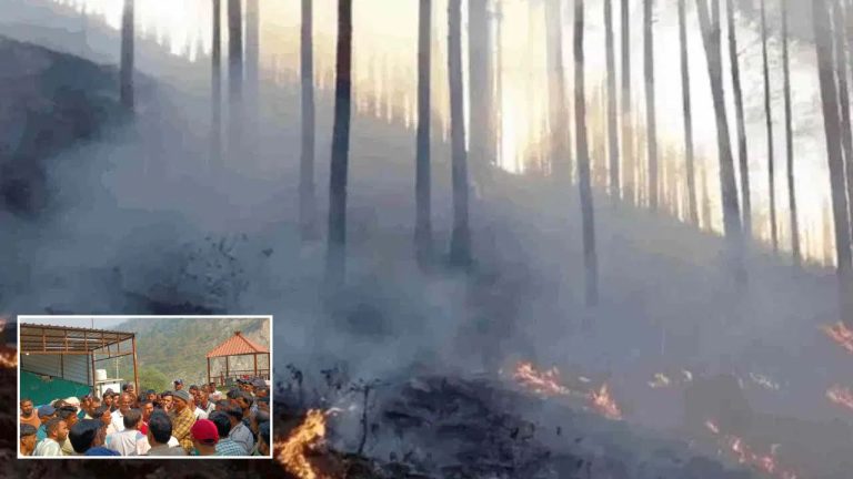उत्तराखंड के जंगलों में धधकती आग ने ली जान, चमोली
