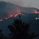 उत्तराखंड में जंगल की आग की लपटों में घिरी महिला,