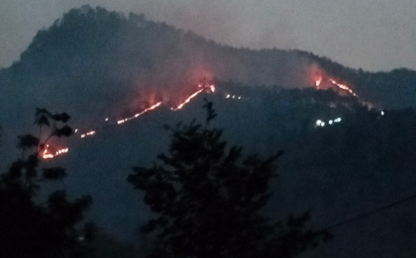 उत्तराखंड में जंगल की आग की लपटों में घिरी महिला,