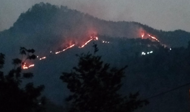 उत्तराखंड में जंगल की आग की लपटों में घिरी महिला,