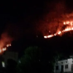 उत्तराखंड में बांज के जंगलों तक पहुंची आग, सरकार ने